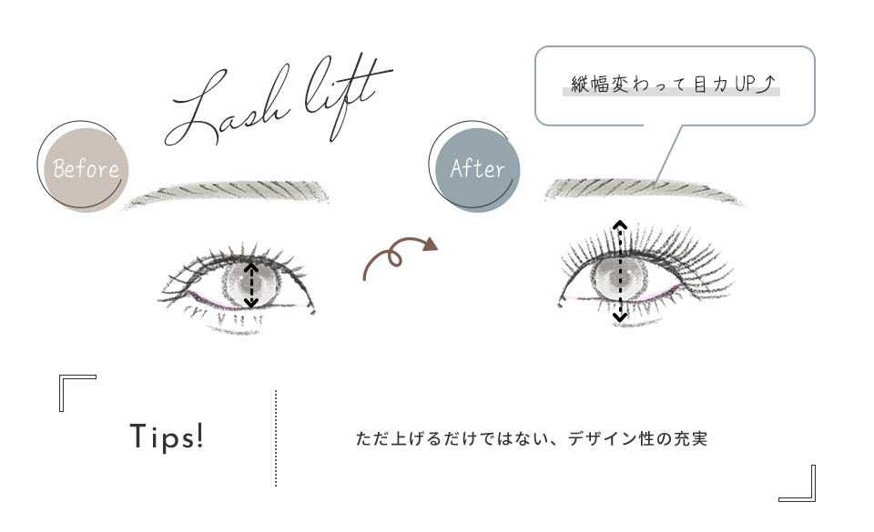 eyelas_contennt_img02